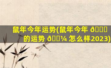 鼠年今年运势(鼠年今年 🐛 的运势 🌼 怎么样2023)